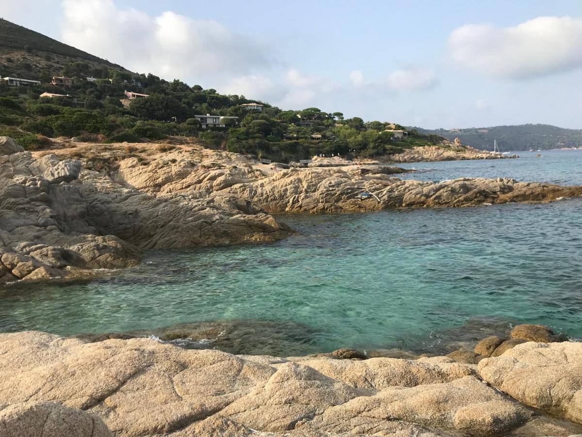 Appartement Vue Mer Golfe De Saint-Tropez Cogolin Eksteriør billede